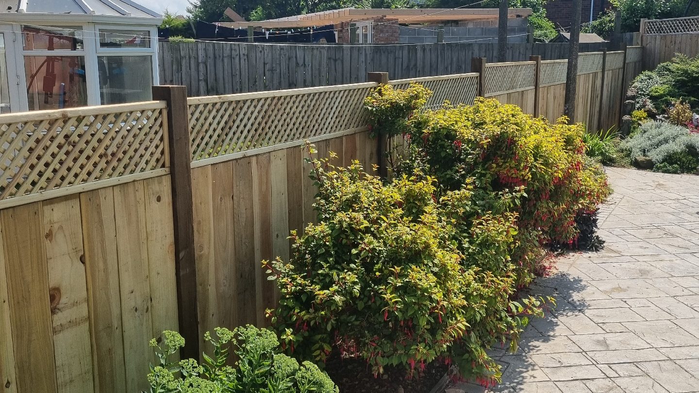Timber fence panels with a trellis top beside a paved garden path